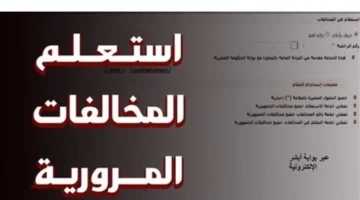 برقم السيارة.. كيف تستعلم عن مخالفات المرور عبر موقع النيابة العامة؟